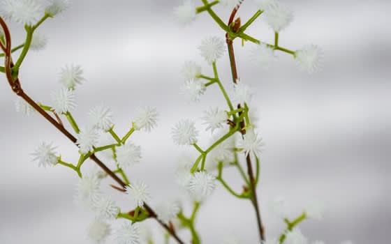 نباتات إصطناعية للديكور 1 قطعة - أبيض
