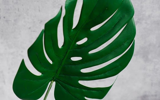 Artificial Monstera Leaves For Decoration 1 PC - Green