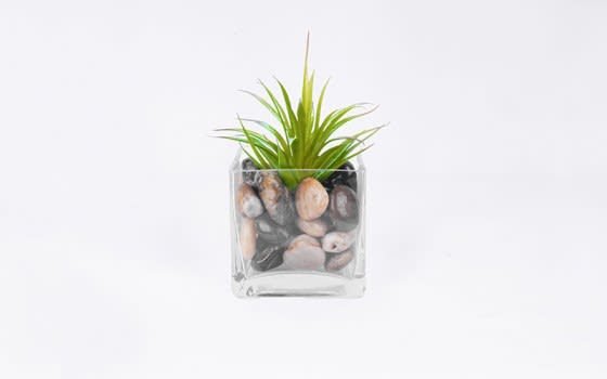 Glass Vase with Aloe Vera Flower for Decoration 1 PCs - L.Green