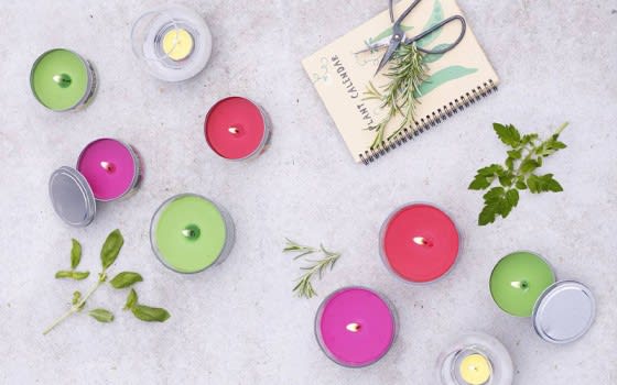 Bolsius True Scents Tealight Candles 18 PCs - Green Tea