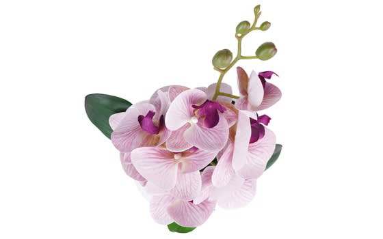 مزهرية سيراميك مع زهرة الأوركيد للديكور 1 قطعة - وردي فاتح