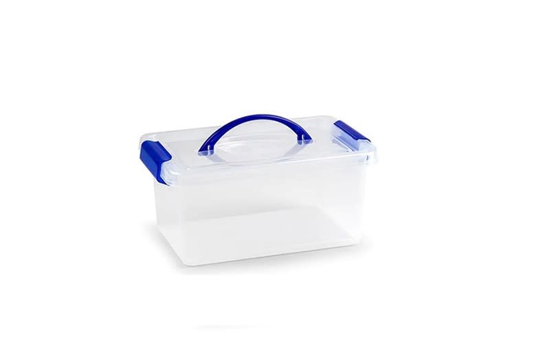 Plastic Forte Plastic Box with Closing Clips & Handle