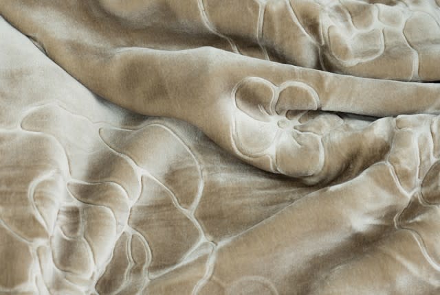 Feature Soft Blanket 2 Ply - 1 PC King Camel