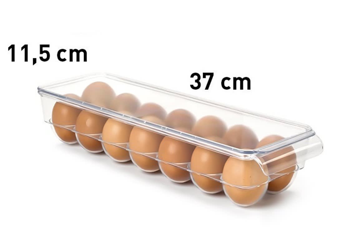 Plastic Egg Storage Box - Transparent