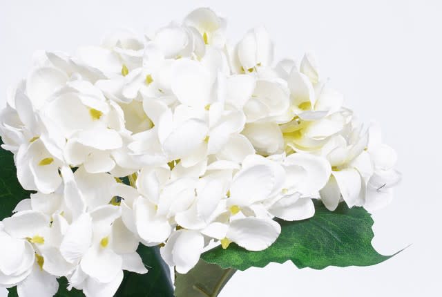 زهرة الهيدرنجا الاصطناعية للديكور 1 قطعة - أبيض