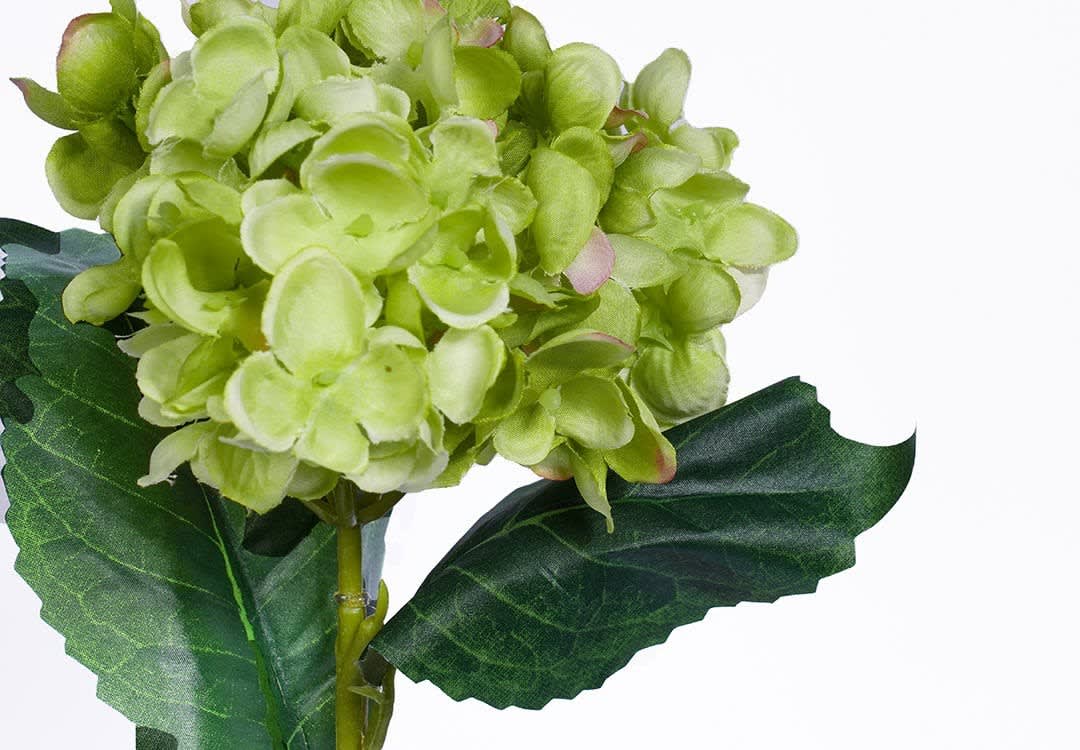 زهرة الهيدرنجا الاصطناعية للديكور 1 قطعة - أخضر
