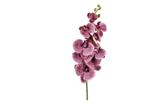 زهرة الأوركيد الأصطناعية 1 قطعة - وردي