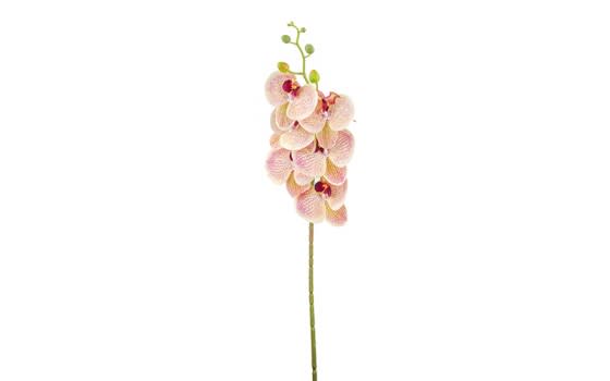 زهرة الأوركيد الأصطناعية 1 قطعة - كريمي و وردي
