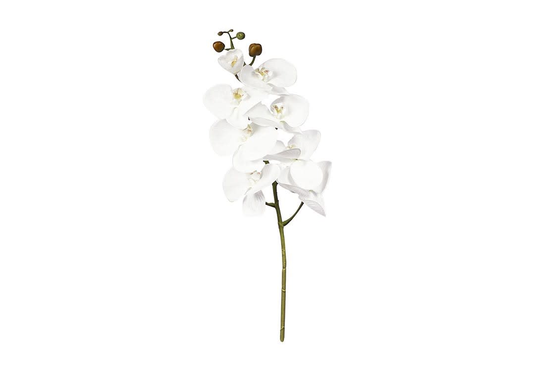 زهرة الأوركيد الأصطناعية 1 قطعة - أبيض