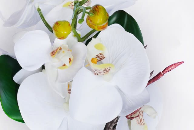 مزهرية سيراميك مع زهرة الأوركيد للديكور 1 قطعة - أبيض