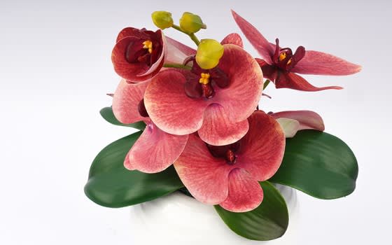 مزهرية سيراميك مع زهرة الأوركيد للديكور 1 قطعة - وردي
