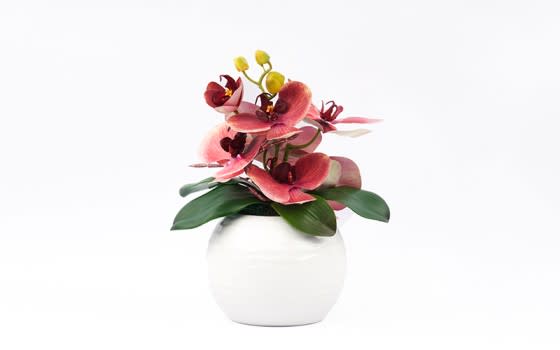 مزهرية سيراميك مع زهرة الأوركيد للديكور 1 قطعة - وردي