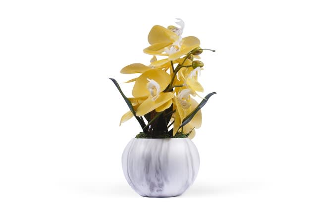 مزهرية سيراميك مع زهرة الأوركيد للديكور 1 قطعة - أبيض و أصفر