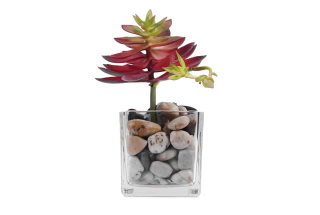 Glass Vase with Lotus Flower for Decoration 1 PCs - Red
