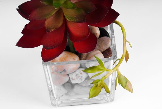 مزهرية زجاج مع زهرة اللوتس للديكور 1 قطعة - أحمر 