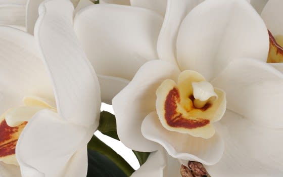مزهرية سيراميك مع ورود صناعية للديكور 1 قطعة - أبيض