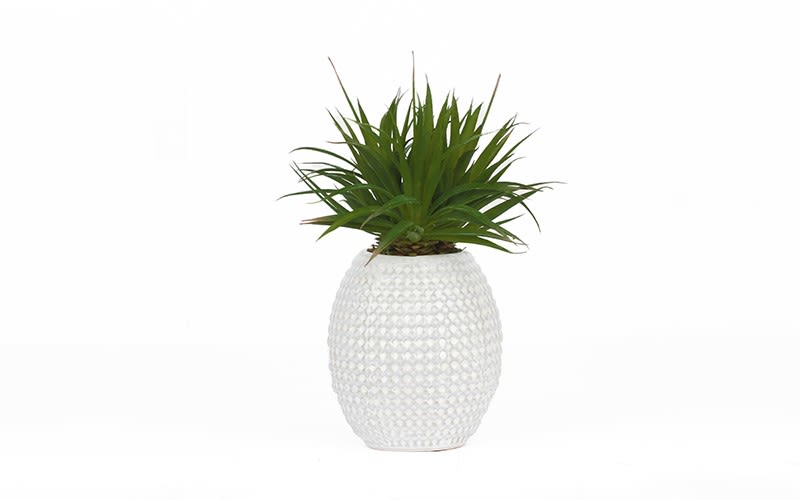 Ceramic Vase With Cactus Plant Decorative 1 PC - Green & White